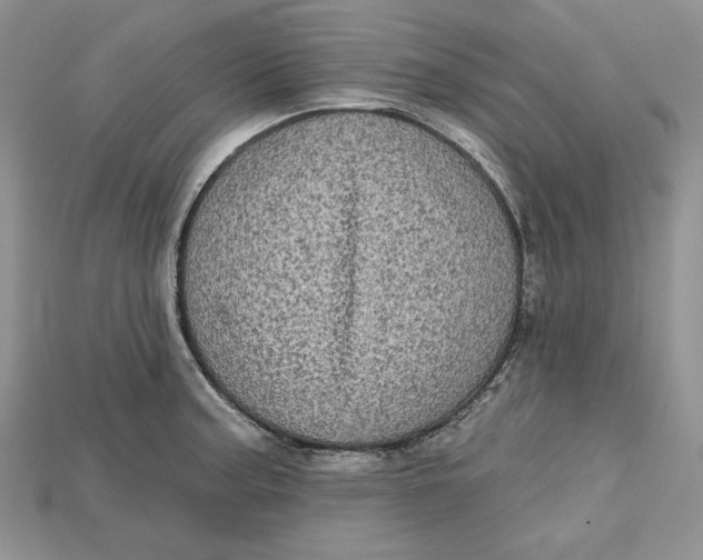 X0000114671187200911121326