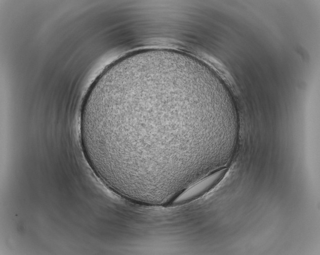 X0000114671188200911121326