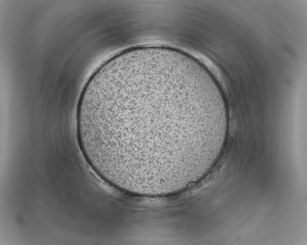 X0000114671191200911121326