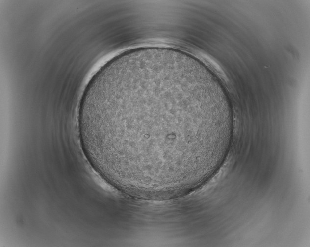 X0000114671192200911121326