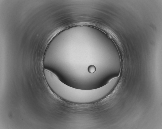 X0000114671193200911121326