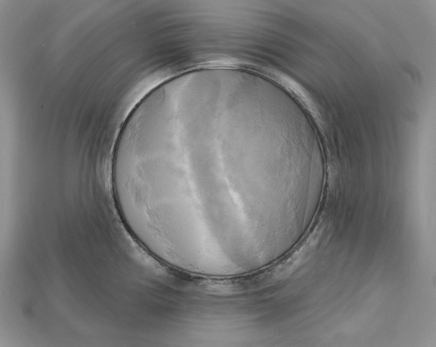 X0000114671194200911121326