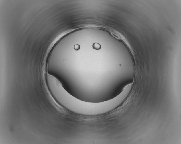 X0000114671195200911121326