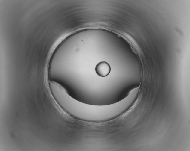 X0000114671196200911121326