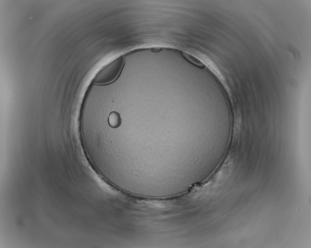 X0000114671197200911121326