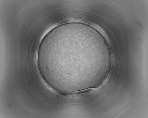 X0000114671198200911121326