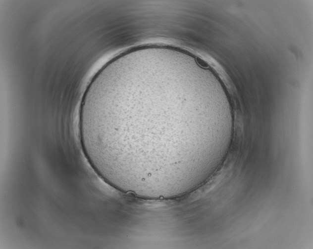 X0000114671199200911121326