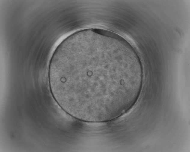 X0000114671200200911121326