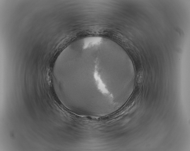 X0000114671202200911121326