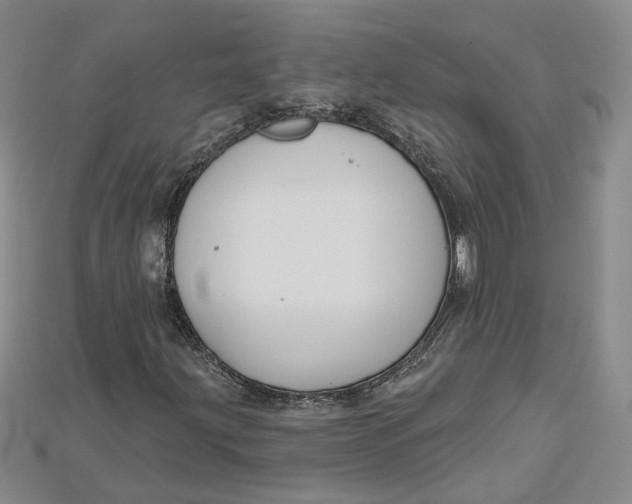 X0000114671203200911121326