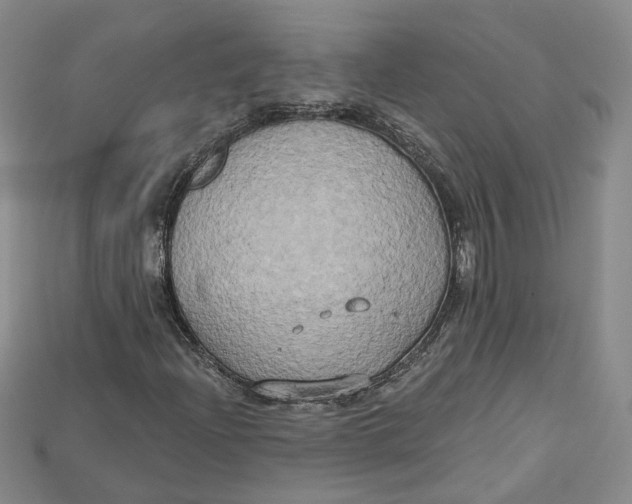 X0000114671204200911121326