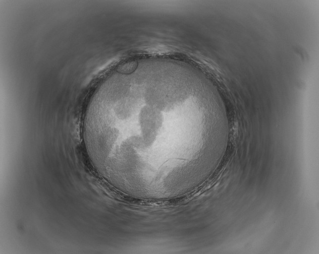 X0000114671205200911121326