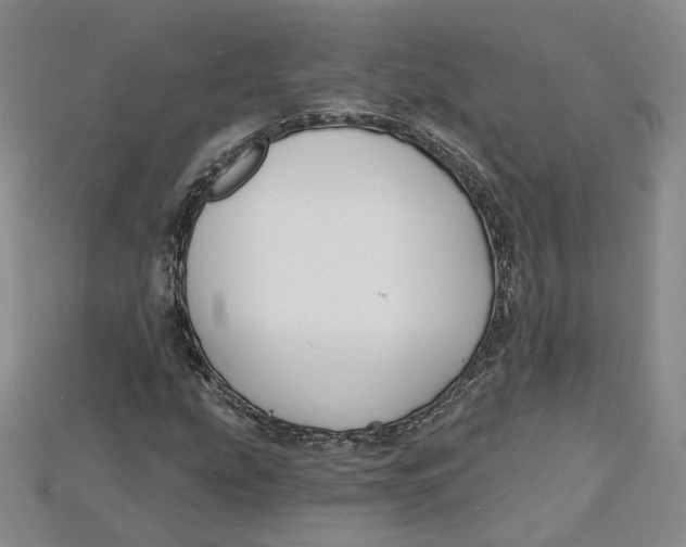 X0000114671207200911121326