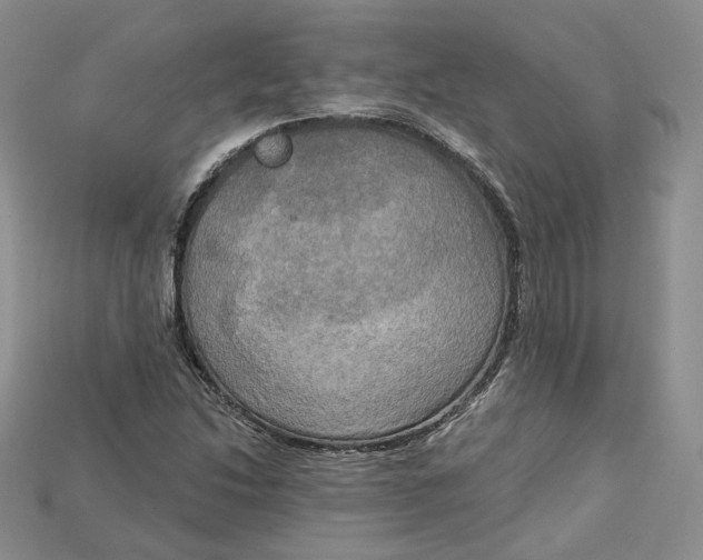 X0000114671214200911121326