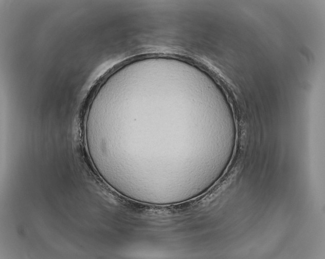 X0000114671215200911121326