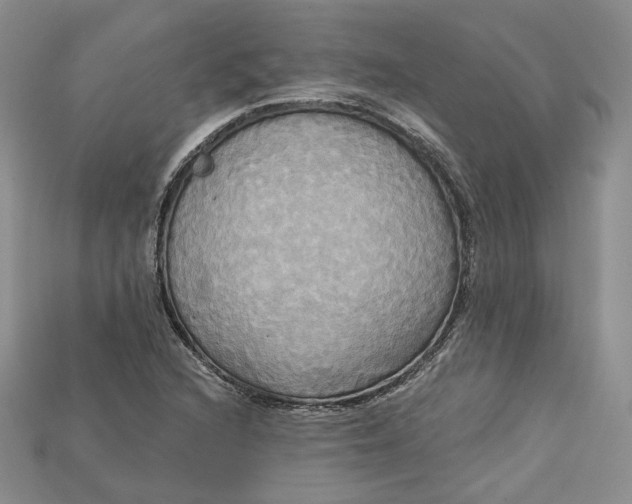 X0000114671216200911121326