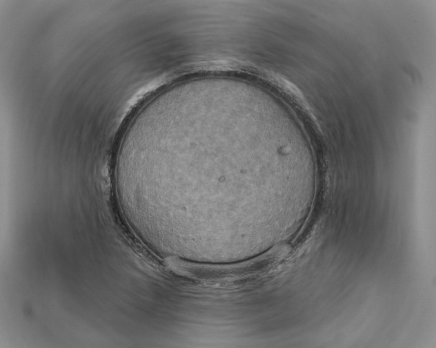 X0000114671218200911121326