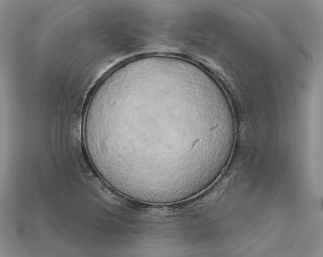 X0000114671220200911121326