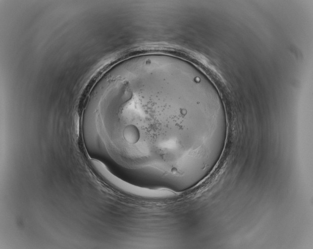 X0000114671221200911121326