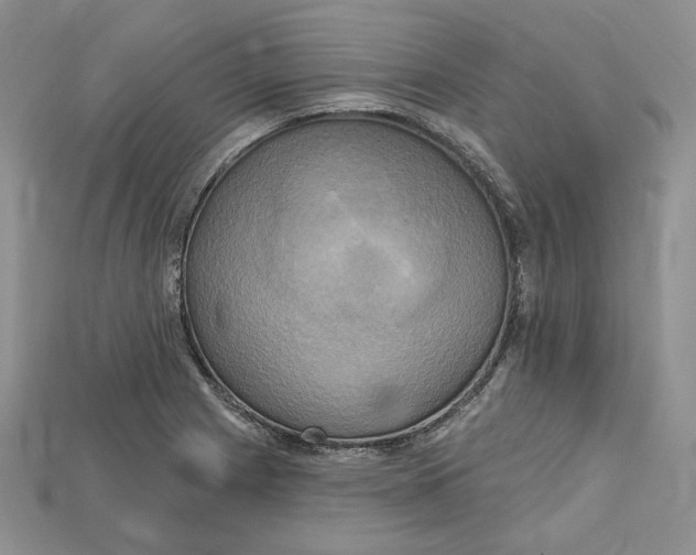 X0000114671225200911121326