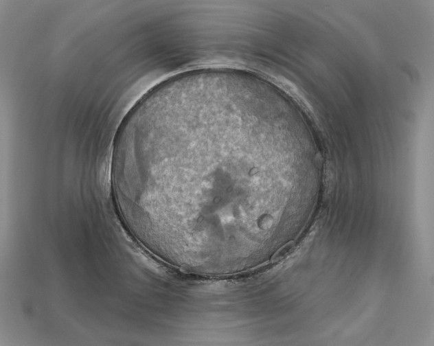 X0000114671228200911121326