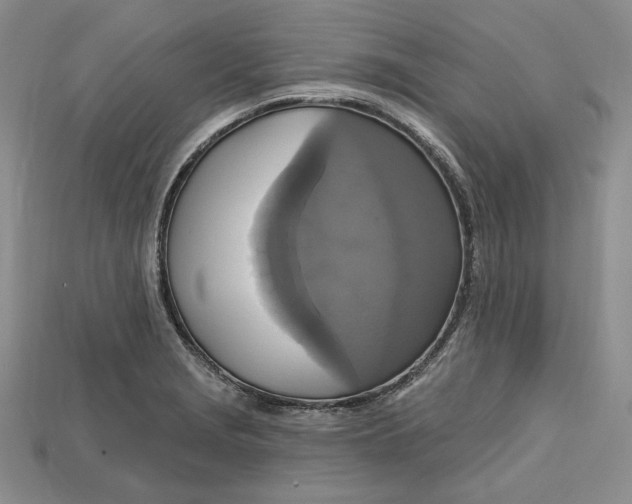 X0000114671229200911121326