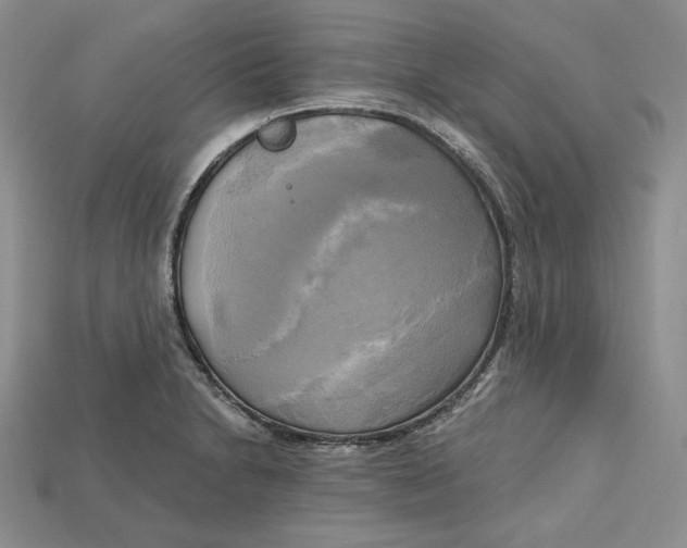 X0000114671230200911121326