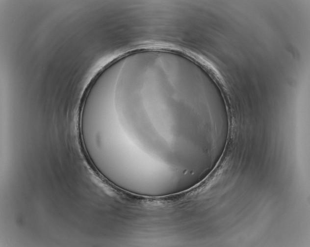 X0000114671231200911121326