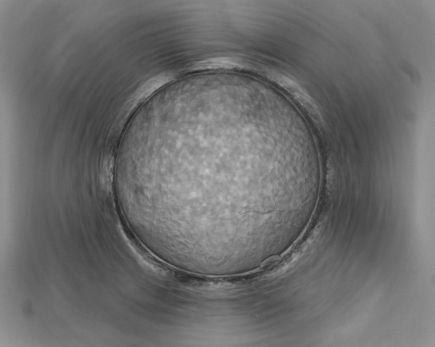 X0000114671233200911121326