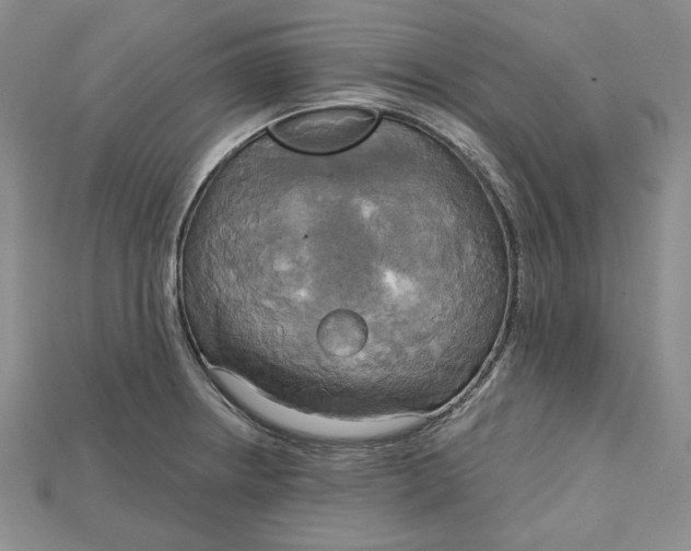 X0000114671234200911121326