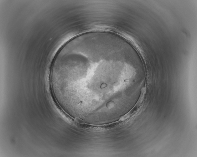 X0000114671235200911121326