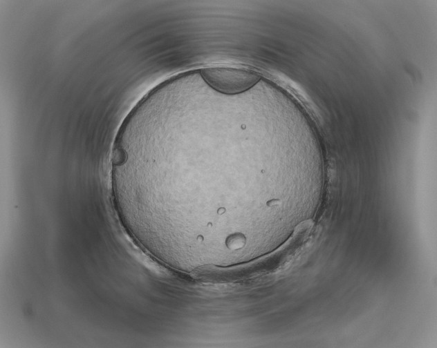 X0000114671236200911121326