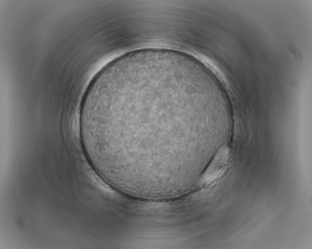 X0000114671238200911121326