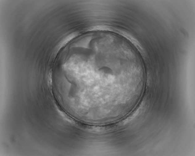 X0000114671241200911121326