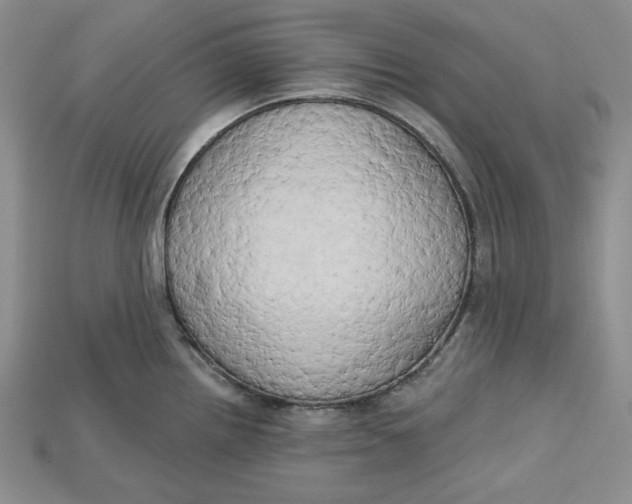 X0000114671242200911121326