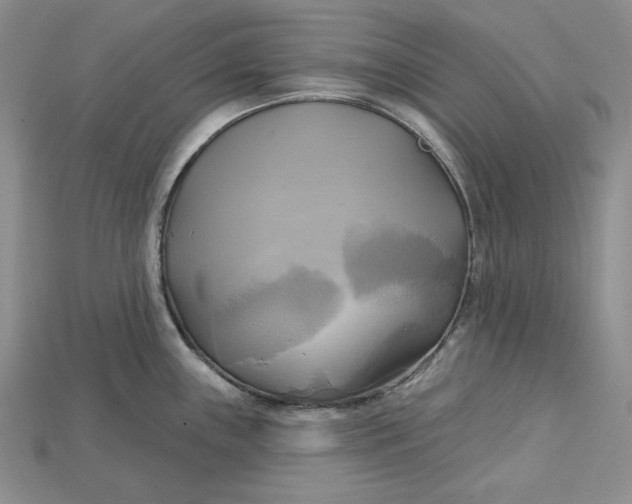 X0000114671243200911121326