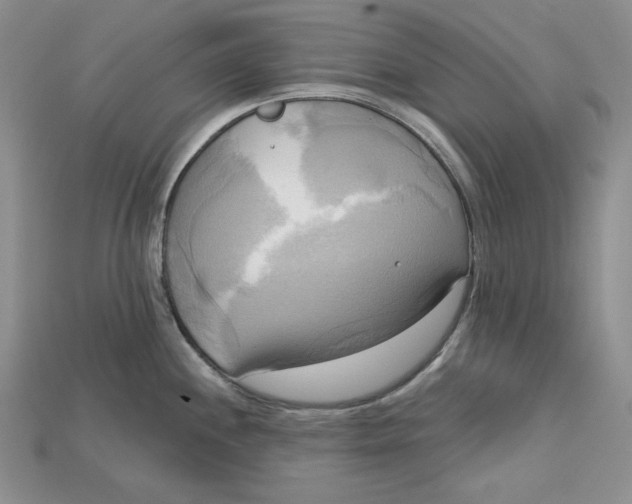 X0000114671244200911121326