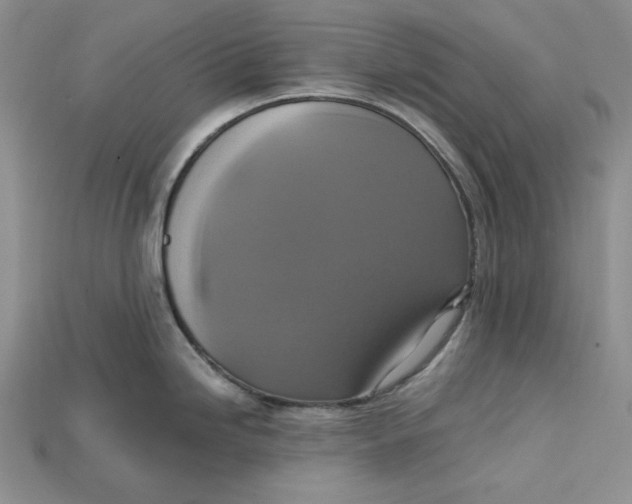 X0000114671246200911121326