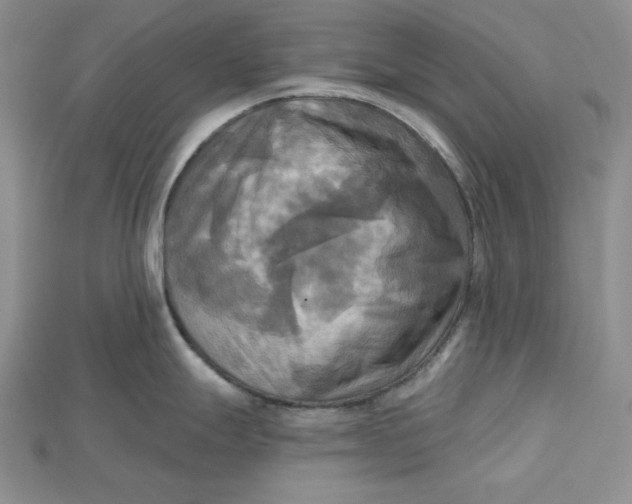 X0000114671247200911121326