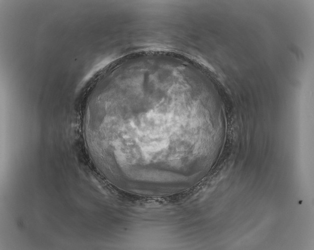 X0000114671255200911121326