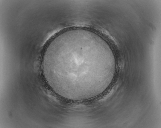 X0000114671256200911121326