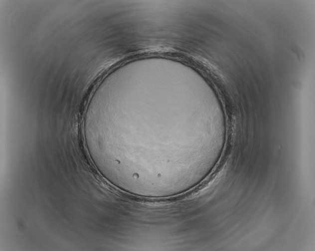 X0000114671257200911121326