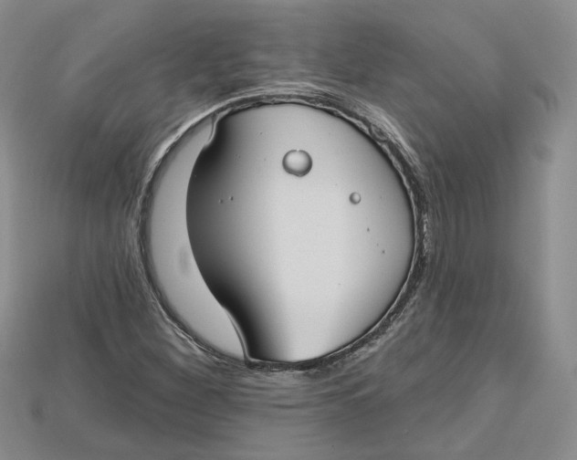 X0000114671260200911121326