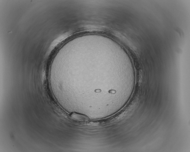 X0000114671261200911121325