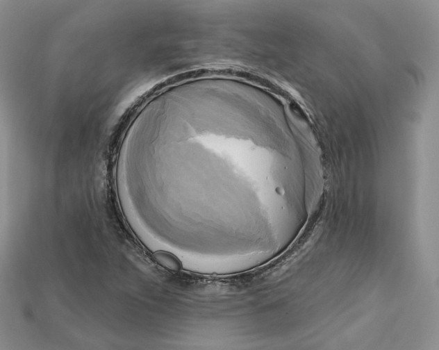 X0000114671263200911121325