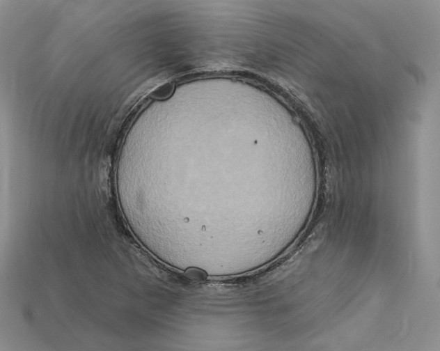 X0000114671265200911121325