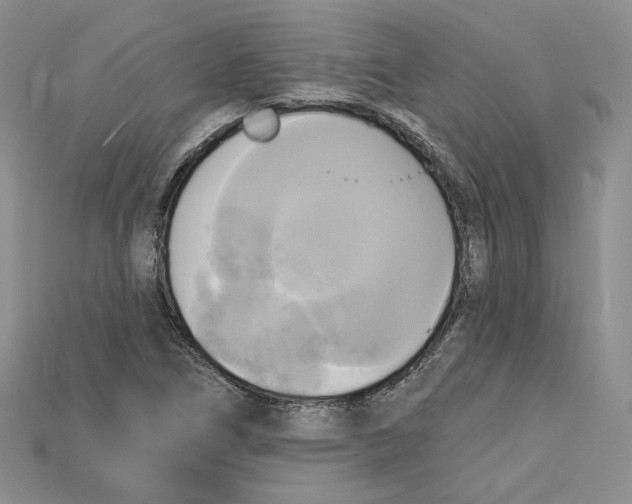 X0000114671266200911121325