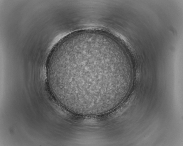 X0000114671267200911121325