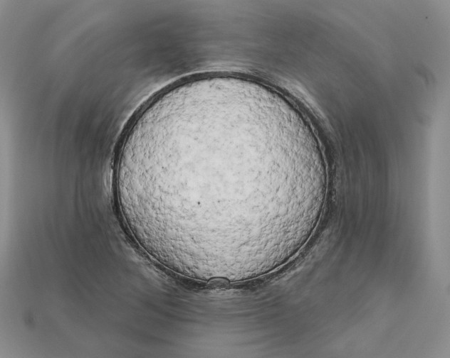 X0000114671268200911121325