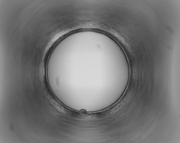 X0000114671270200911121325